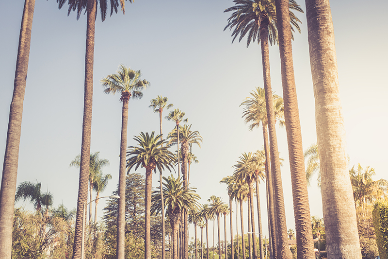 Leimert Park